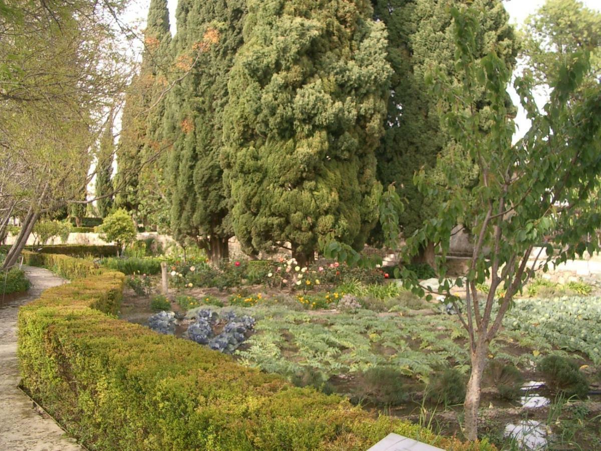 Vélez de Benaudalla Apartments Altos Del Castillo מראה חיצוני תמונה